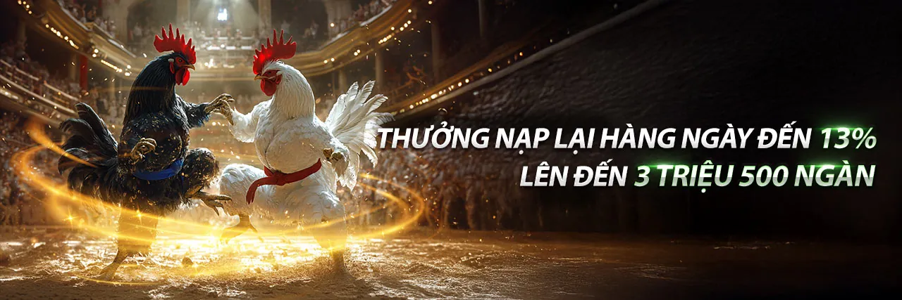 Đá Gà Trực Tuyến EV88VN Chính Thức